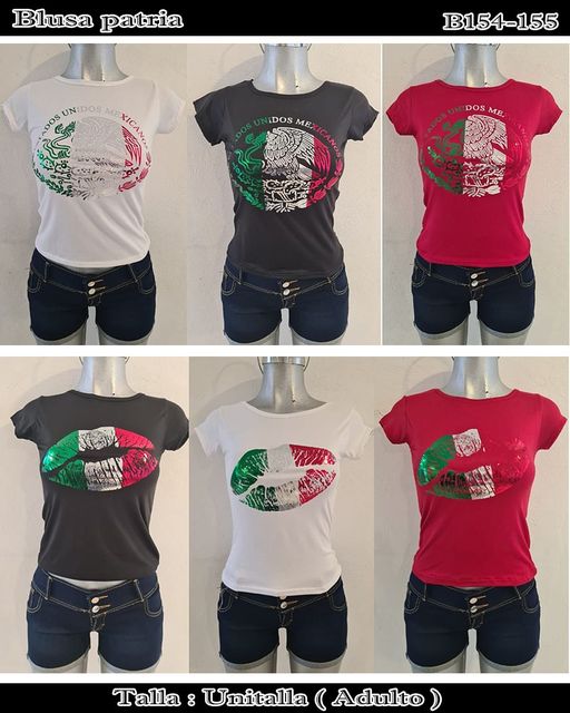B154-155 - Blusa patria